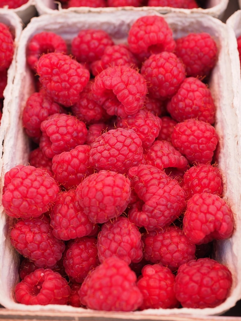 Fresh Fare